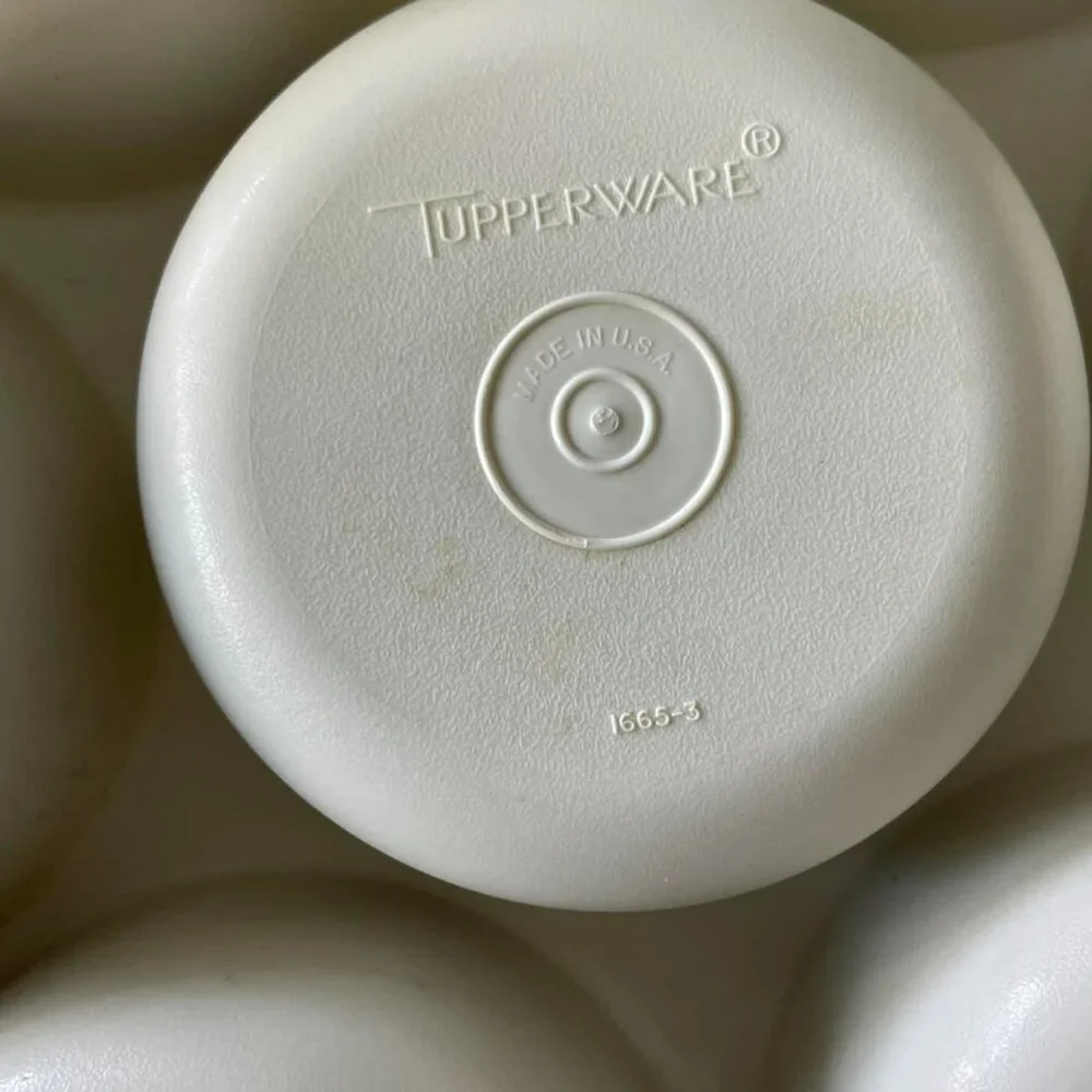 Vintage Tupperware Divided Vegetable Relish Chip & Dip Serving Tray Lid Dip Bowl